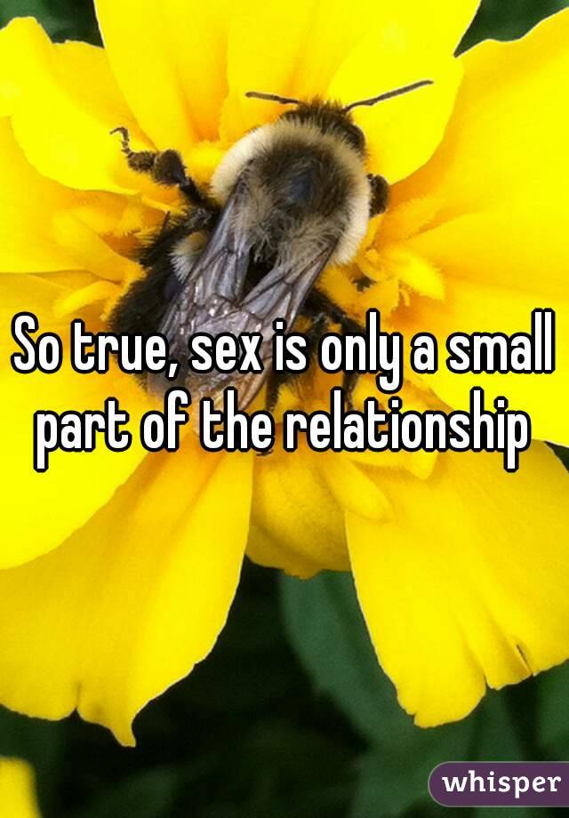 So true, sex is only a small part of the relationship 