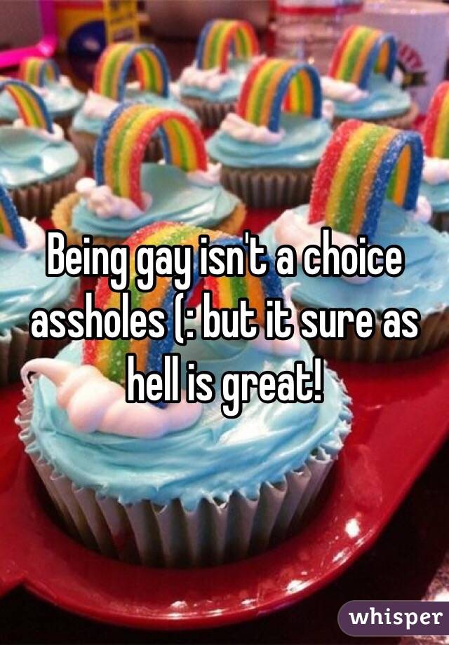 Being gay isn't a choice assholes (: but it sure as hell is great!