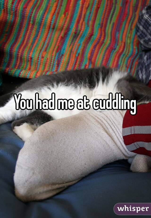 You had me at cuddling