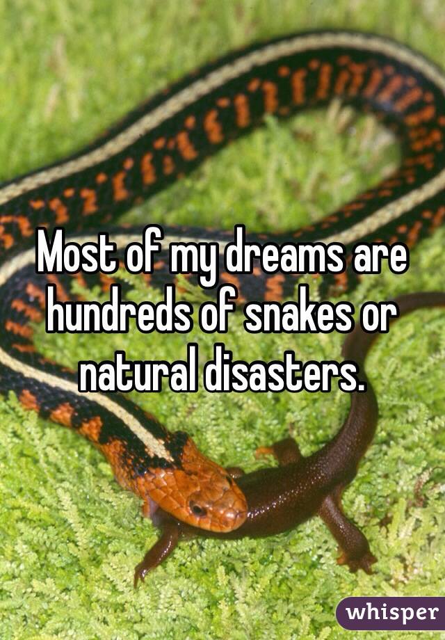 Most of my dreams are hundreds of snakes or natural disasters.
