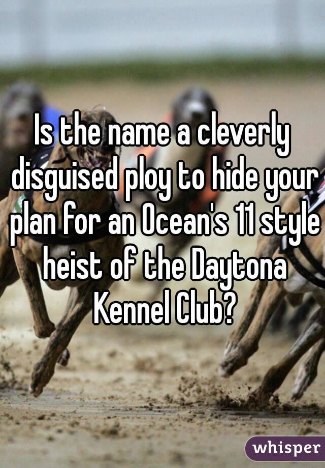 Is the name a cleverly disguised ploy to hide your plan for an Ocean's 11 style heist of the Daytona Kennel Club?