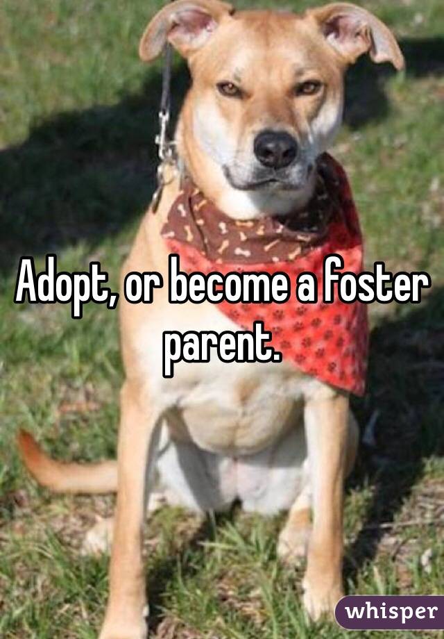 Adopt, or become a foster parent. 