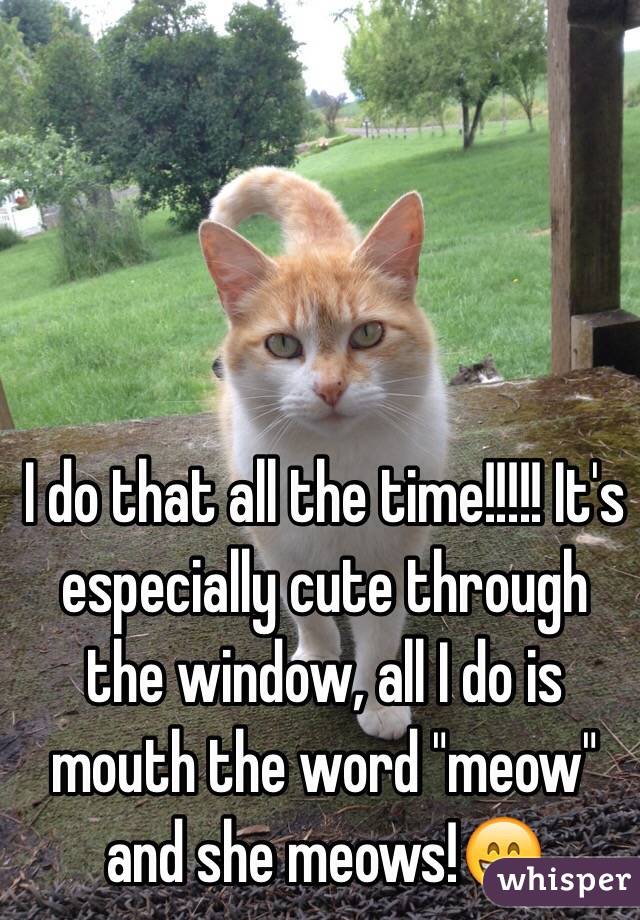 I do that all the time!!!!! It's especially cute through the window, all I do is mouth the word "meow" and she meows!😄