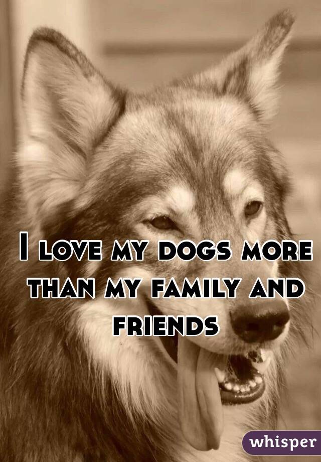 I love my dogs more than my family and friends 