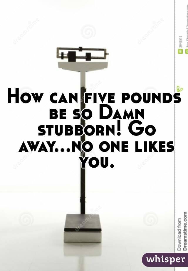 How can five pounds be so Damn stubborn! Go away...no one likes you.