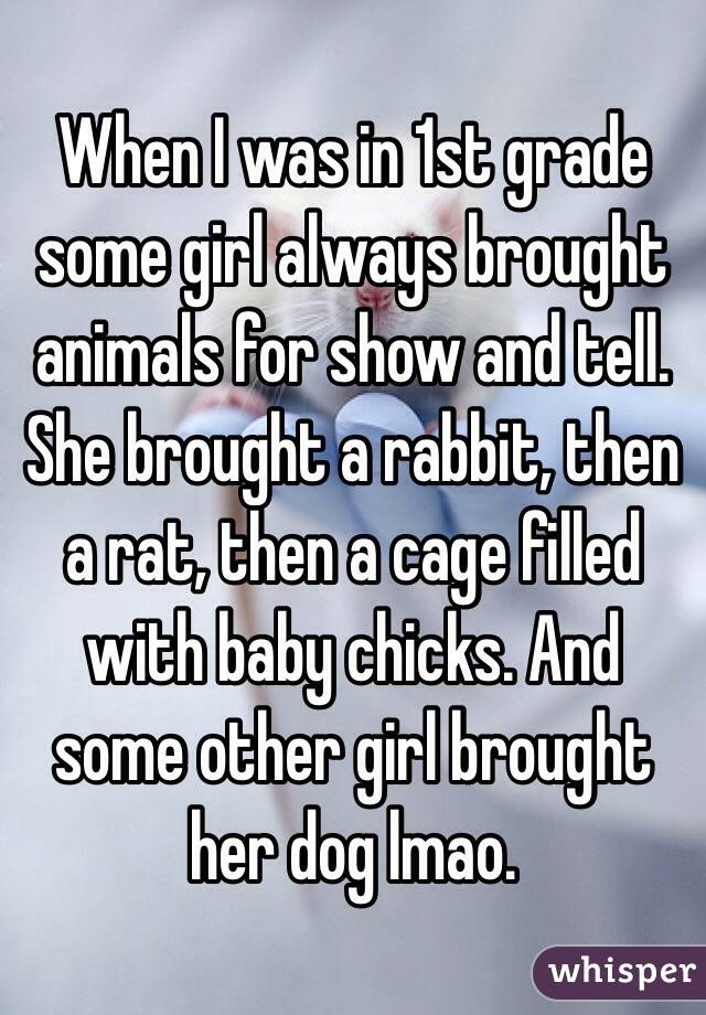 When I was in 1st grade some girl always brought animals for show and tell. She brought a rabbit, then a rat, then a cage filled with baby chicks. And some other girl brought her dog lmao. 