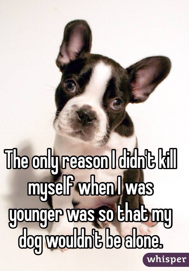 The only reason I didn't kill myself when I was younger was so that my dog wouldn't be alone. 
