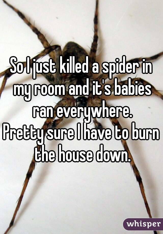 So I just killed a spider in my room and it's babies ran everywhere.
Pretty sure I have to burn the house down.