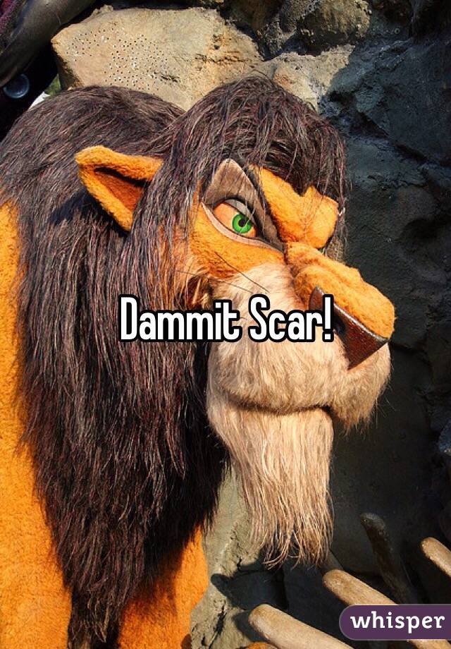 Dammit Scar!