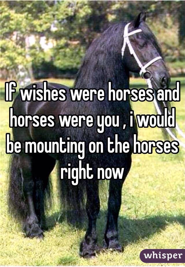 If wishes were horses and horses were you , i would be mounting on the horses right now
