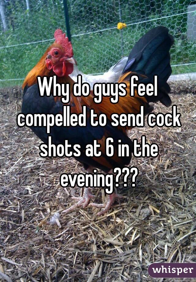 Why do guys feel compelled to send cock shots at 6 in the evening???