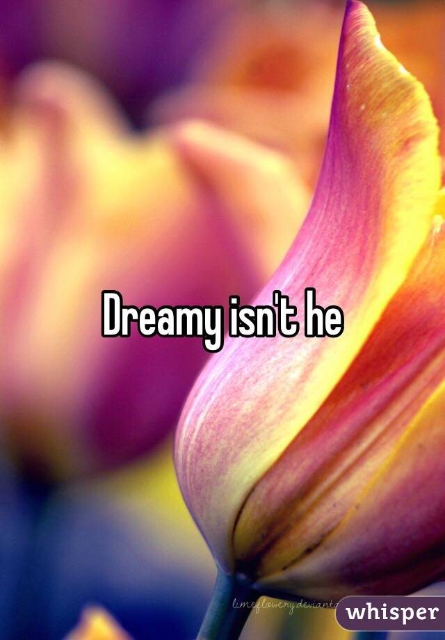 Dreamy isn't he