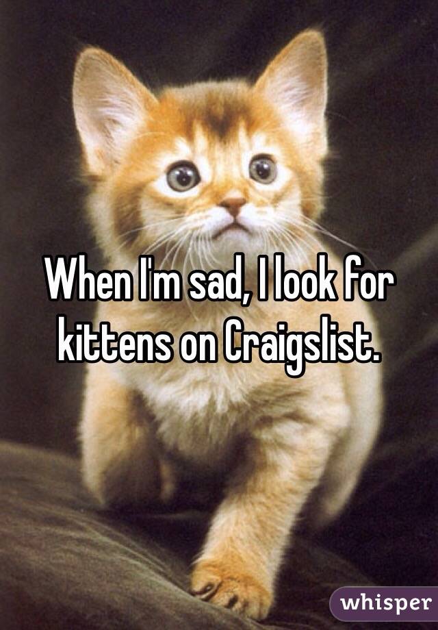 When I'm sad, I look for kittens on Craigslist. 
