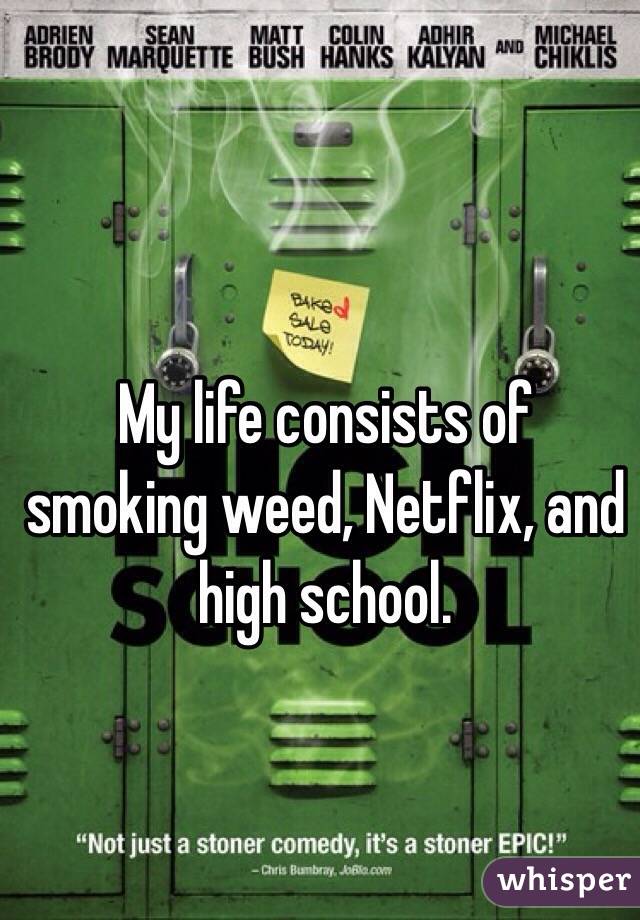 My life consists of smoking weed, Netflix, and high school. 