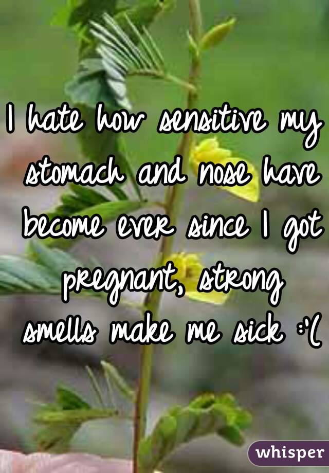 I hate how sensitive my stomach and nose have become ever since I got pregnant, strong smells make me sick :'(