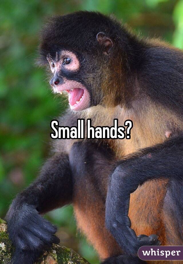 Small hands?