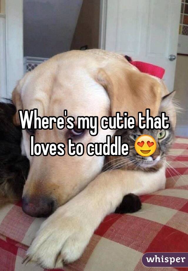 Where's my cutie that loves to cuddle 😍