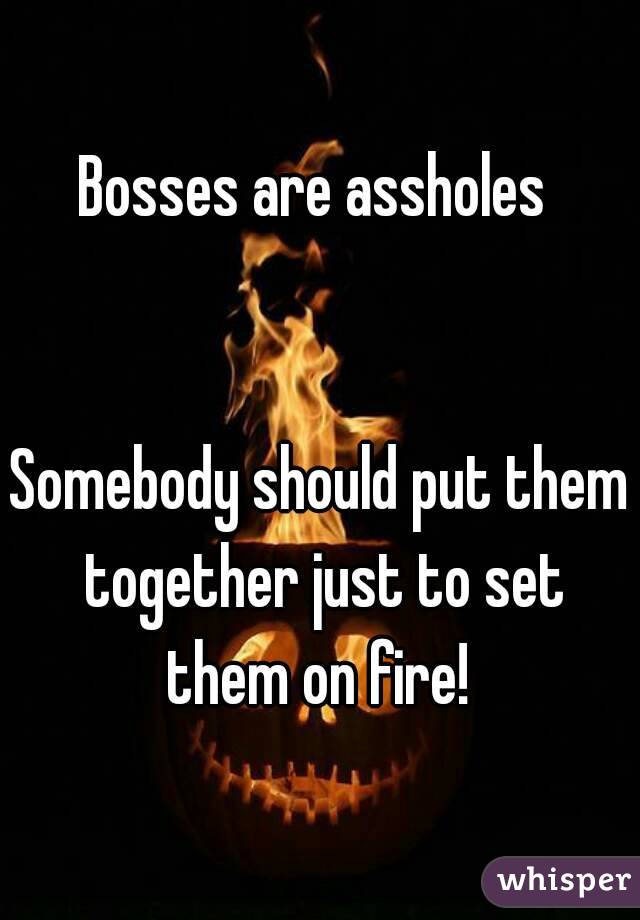 Bosses are assholes 


Somebody should put them together just to set them on fire! 