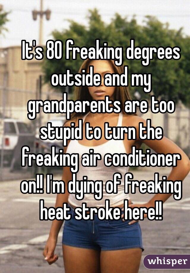 It's 80 freaking degrees outside and my grandparents are too stupid to turn the freaking air conditioner on!! I'm dying of freaking heat stroke here!!