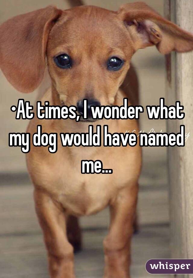 •At times, I wonder what my dog would have named me...