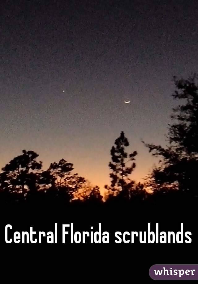Central Florida scrublands