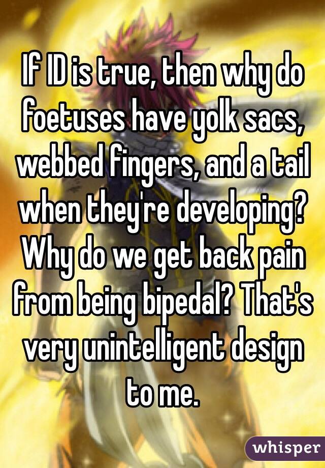 If ID is true, then why do foetuses have yolk sacs, webbed fingers, and a tail when they're developing? Why do we get back pain from being bipedal? That's very unintelligent design to me.