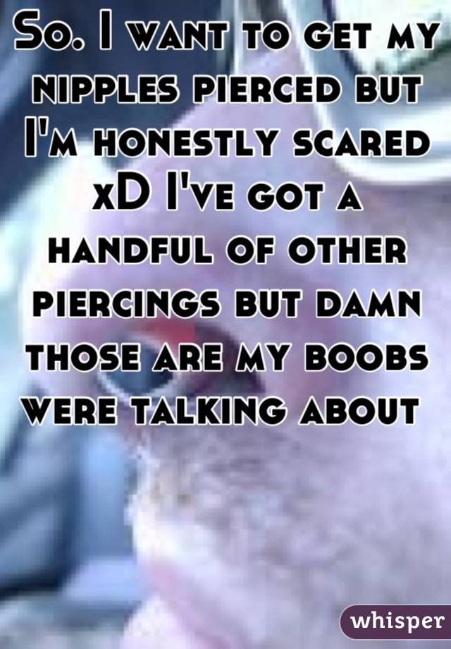 So. I want to get my nipples pierced but I'm honestly scared xD I've got a handful of other piercings but damn those are my boobs were talking about 