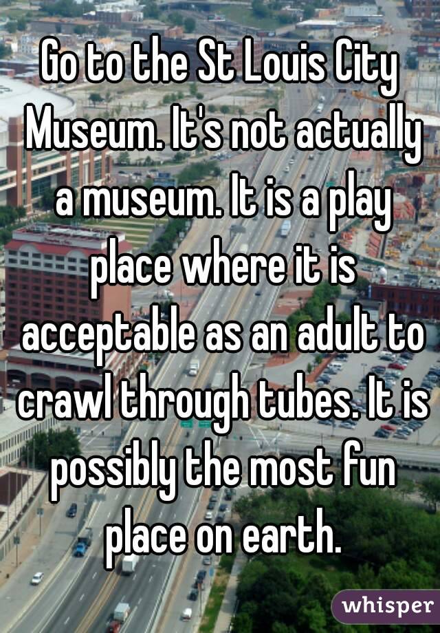 Go to the St Louis City Museum. It's not actually a museum. It is a play place where it is acceptable as an adult to crawl through tubes. It is possibly the most fun place on earth.