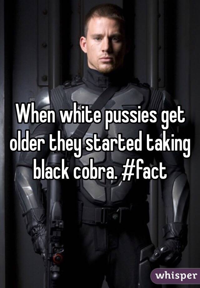 When white pussies get older they started taking black cobra. #fact