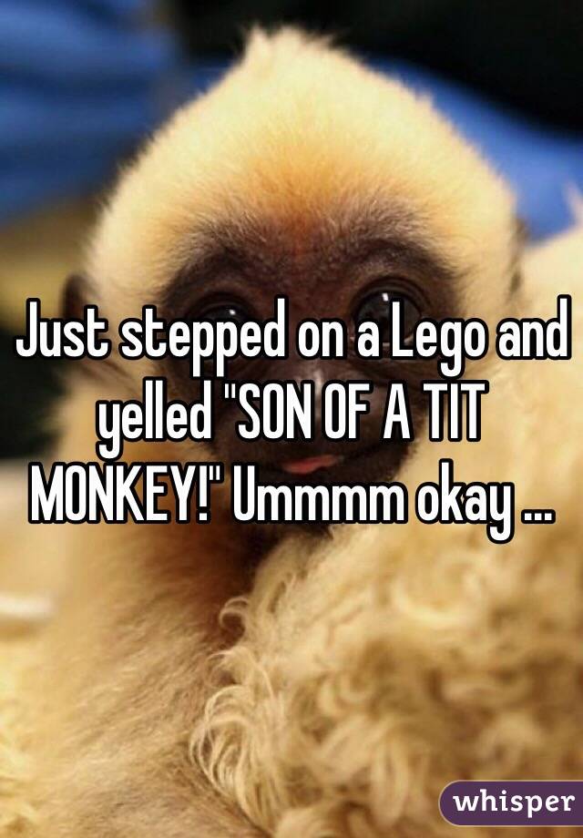 Just stepped on a Lego and yelled "SON OF A TIT MONKEY!" Ummmm okay ...