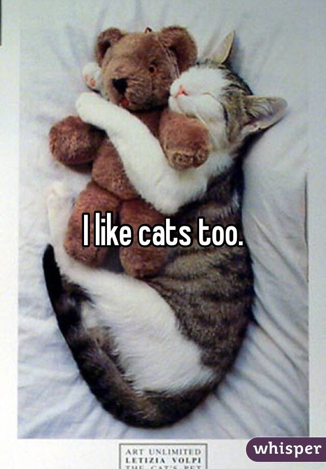I like cats too. 