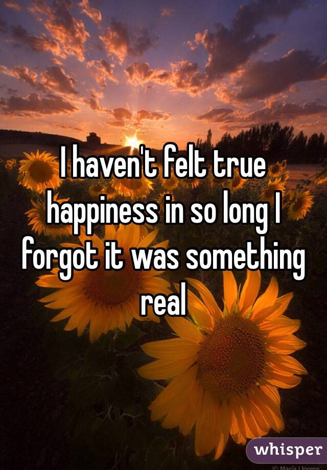 I haven't felt true happiness in so long I forgot it was something real