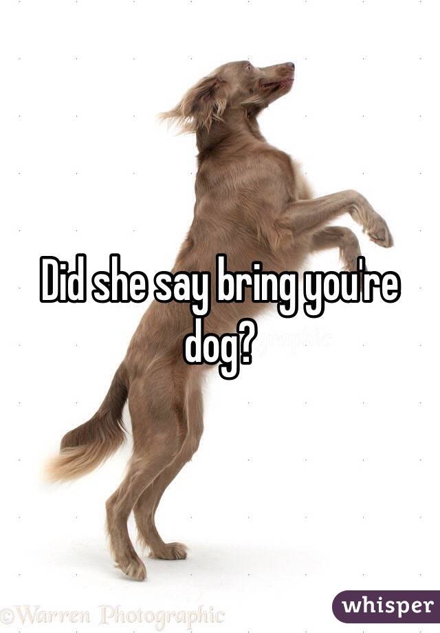 Did she say bring you're dog?