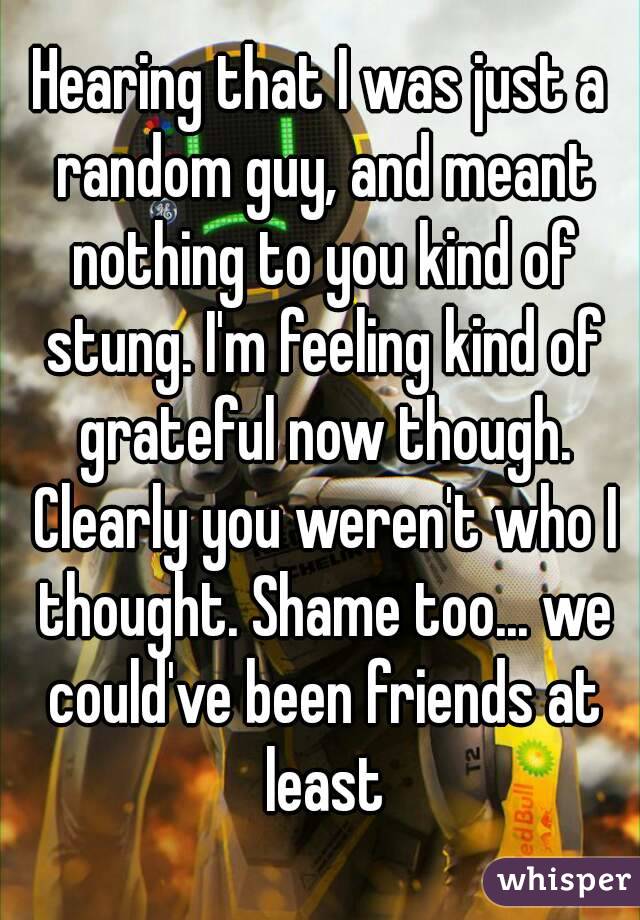 Hearing that I was just a random guy, and meant nothing to you kind of stung. I'm feeling kind of grateful now though. Clearly you weren't who I thought. Shame too... we could've been friends at least
