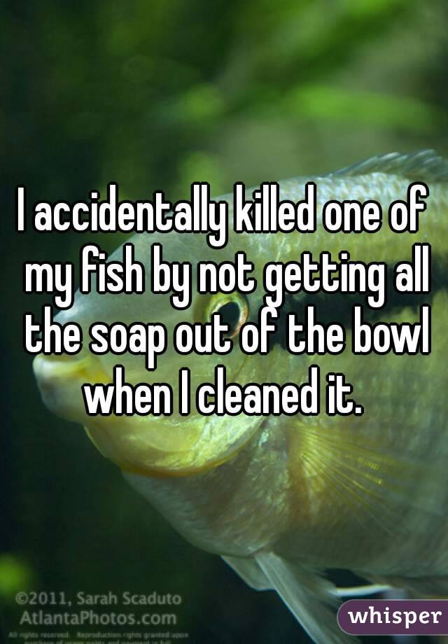 I accidentally killed one of my fish by not getting all the soap out of the bowl when I cleaned it. 