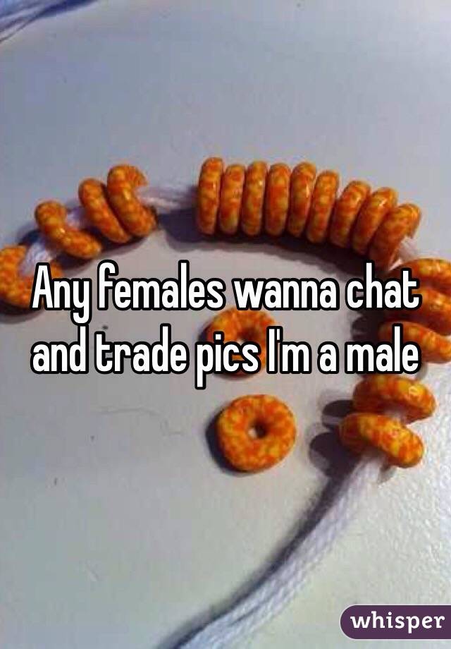 Any females wanna chat and trade pics I'm a male