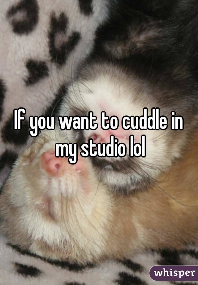 If you want to cuddle in my studio lol