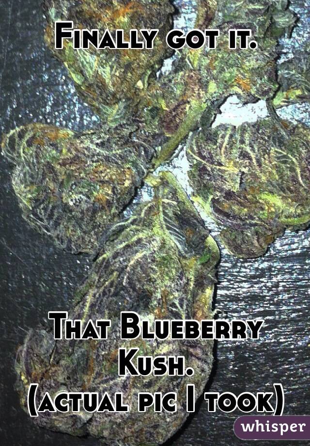 Finally got it.







That Blueberry Kush.
(actual pic I took)