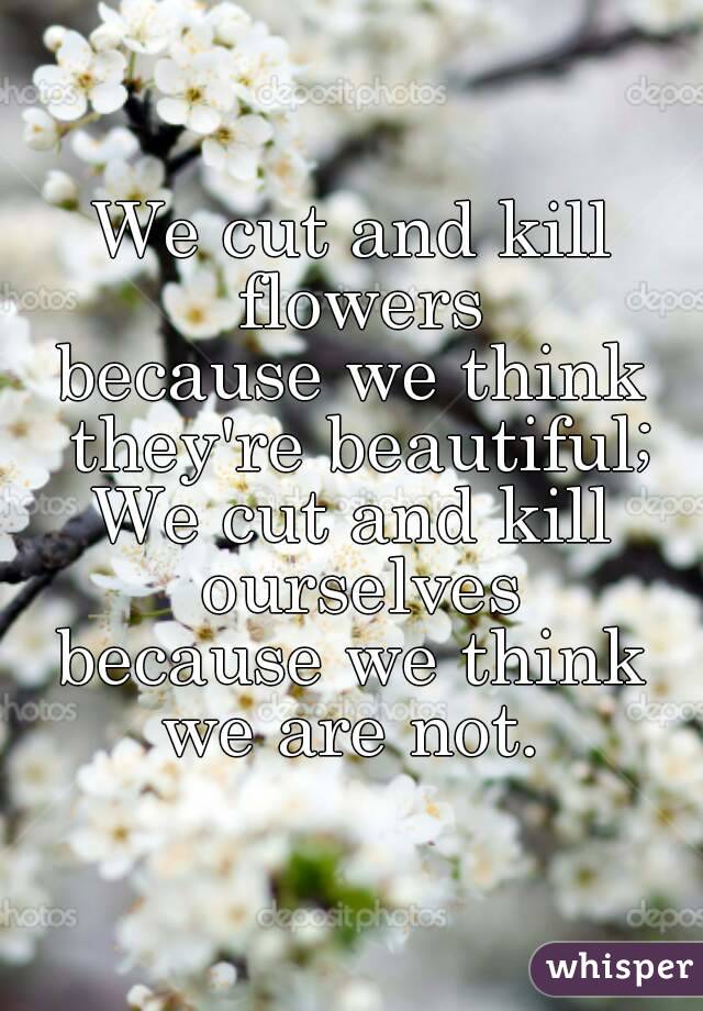 We cut and kill flowers
because we think they're beautiful;
We cut and kill ourselves
because we think we are not. 
