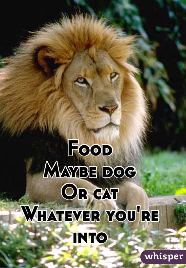 Food
Maybe dog
Or cat
Whatever you're into