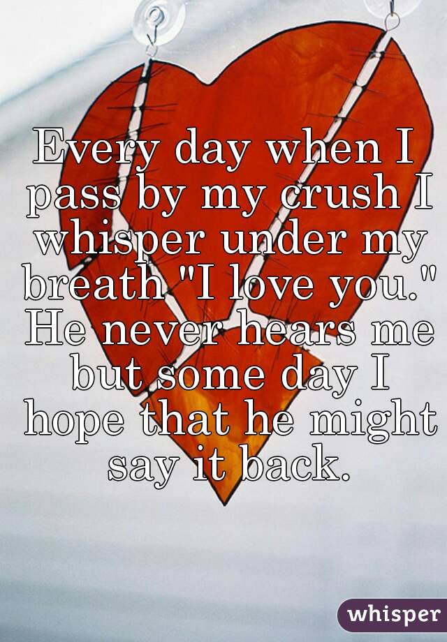 Every day when I pass by my crush I whisper under my breath "I love you." He never hears me but some day I hope that he might say it back.