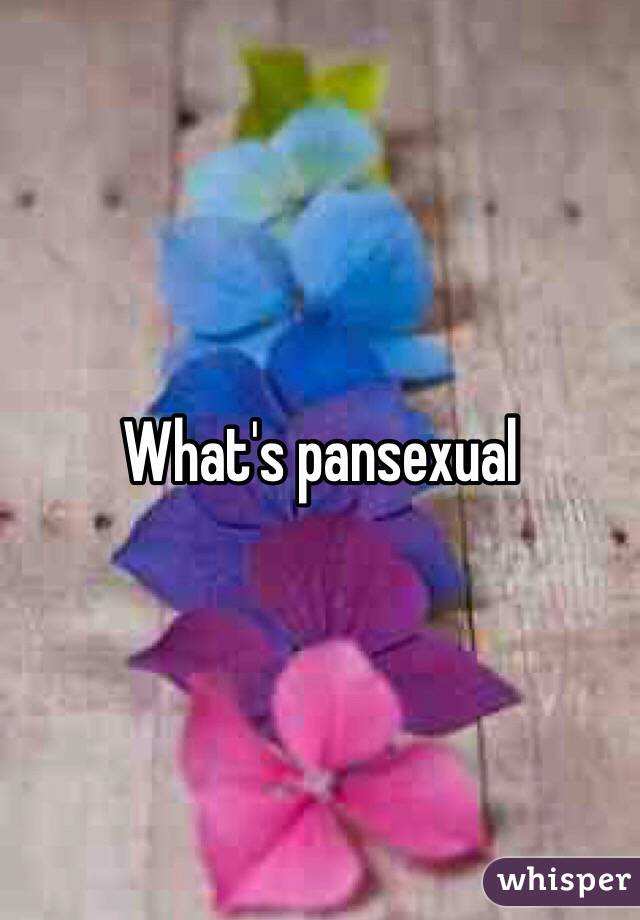 What's pansexual