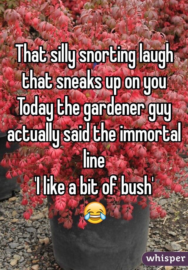 That silly snorting laugh that sneaks up on you 
Today the gardener guy actually said the immortal line 
'I like a bit of bush'
😂