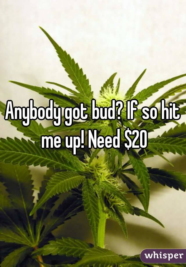 Anybody got bud? If so hit me up! Need $20