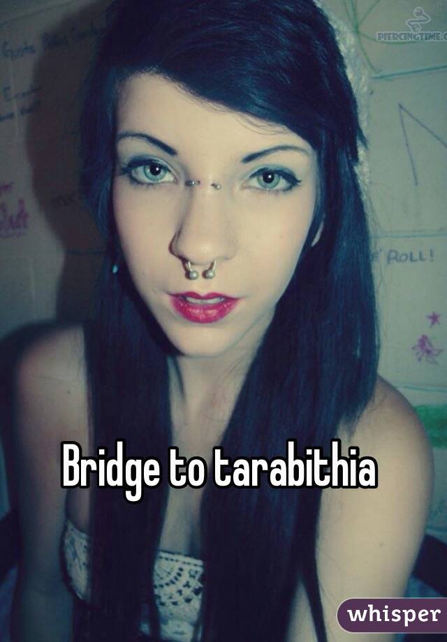 Bridge to tarabithia