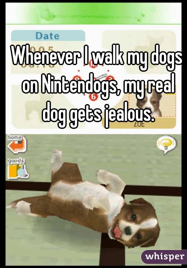 Whenever I walk my dogs on Nintendogs, my real dog gets jealous.
