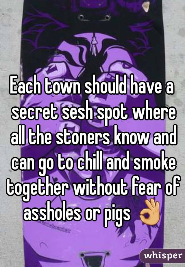 Each town should have a secret sesh spot where all the stoners know and can go to chill and smoke together without fear of assholes or pigs 👌