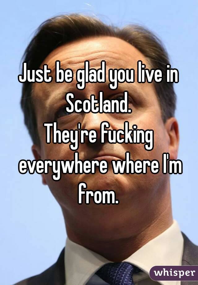 Just be glad you live in Scotland. 
They're fucking everywhere where I'm from. 
