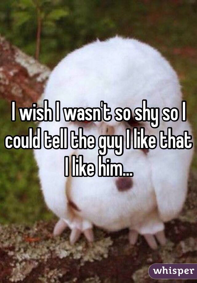 I wish I wasn't so shy so I could tell the guy I like that I like him...