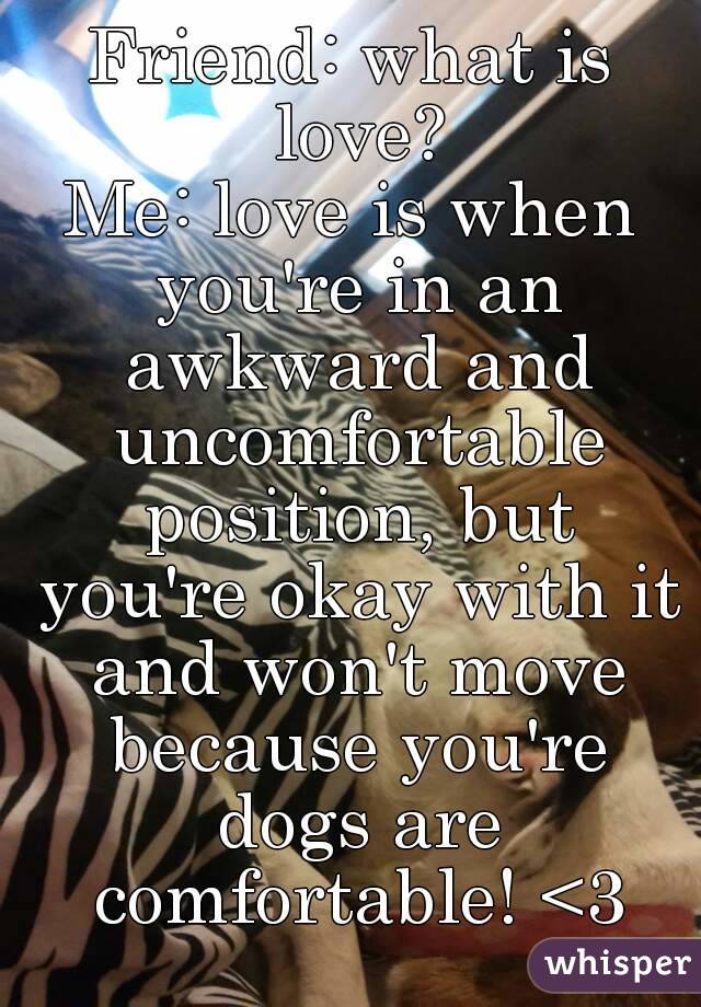 Friend: what is love?
Me: love is when you're in an awkward and uncomfortable position, but you're okay with it and won't move because you're dogs are comfortable! <3